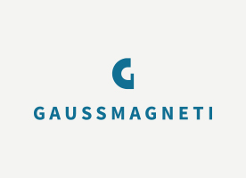 GAUSS MAGNETI